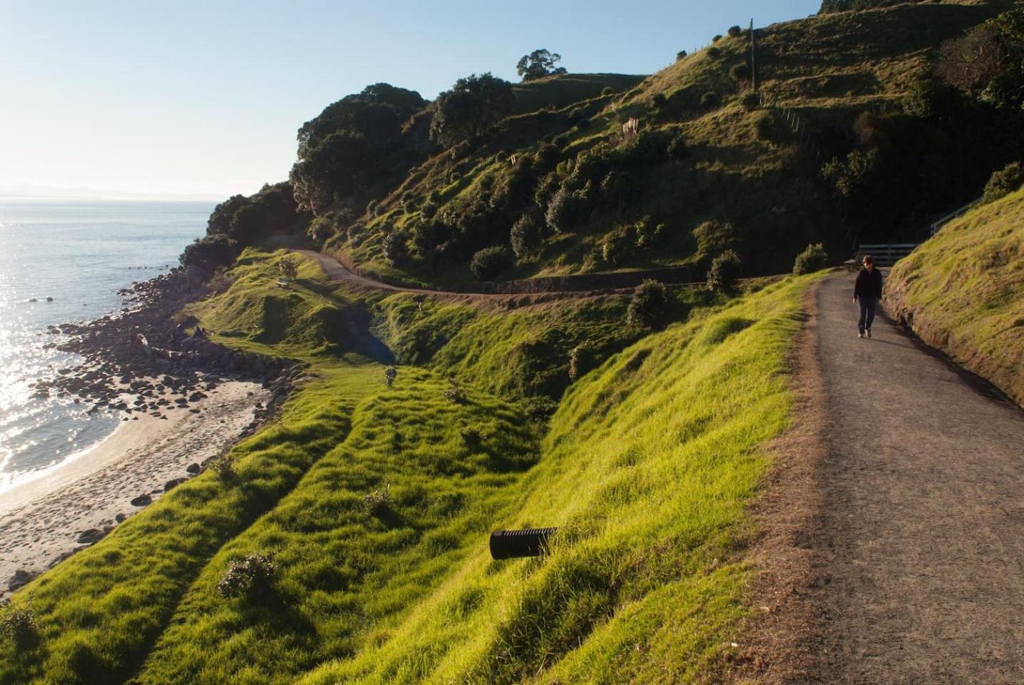 Oceanside Bliss - Absolute Beachfront - Uninterrupted Ocean Views With Pool Leilighet Mount Maunganui Eksteriør bilde